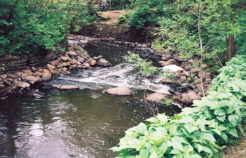 A serene river flows through a lush green landscape, with rocks and plants lining the banks.