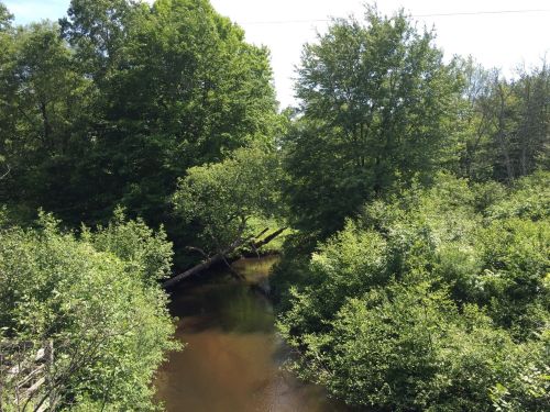 A serene river flows through lush greenery, with trees and bushes lining the banks under a clear blue sky.