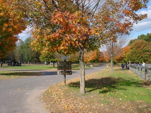 A tree with autumn leaves stands beside a path, with colorful foliage and a signpost in a park setting.