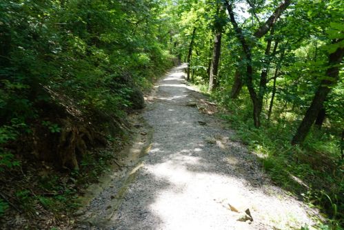 A winding gravel path through a lush green forest, surrounded by trees and dappled sunlight.