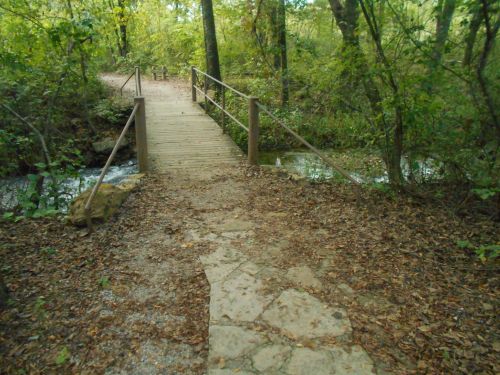 A wooden bridge over a small creek, surrounded by trees and fallen leaves on a peaceful nature trail.
