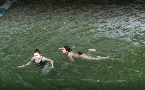 Two women swim in green water, enjoying a sunny day. One is swimming on her back while the other swims beside her.