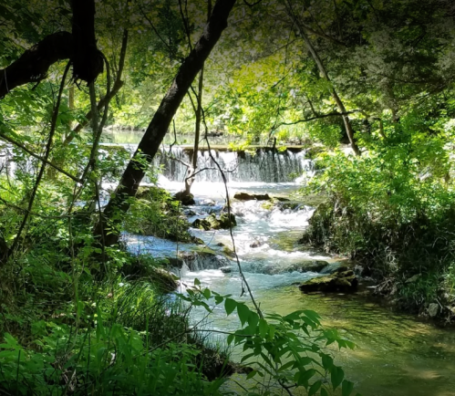 A serene stream flows through a lush green forest, with sunlight filtering through the trees and a small waterfall in the background.