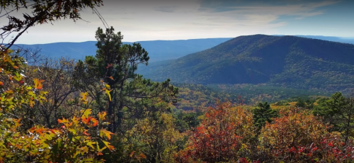 Scenic view of mountains and colorful autumn foliage under a clear sky.