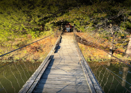 A wooden suspension bridge leads into a lush, green forest with autumn foliage and a calm waterway below.