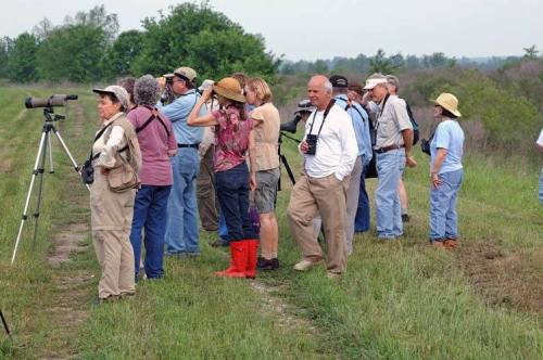 A group of birdwatchers with binoculars and cameras stands in a grassy field, observing nature.