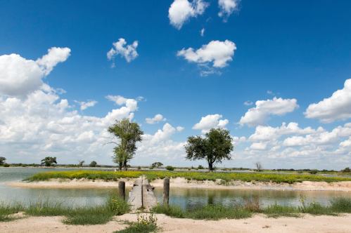 A serene landscape featuring a calm water body, a wooden dock, and lush greenery under a blue sky with fluffy clouds.
