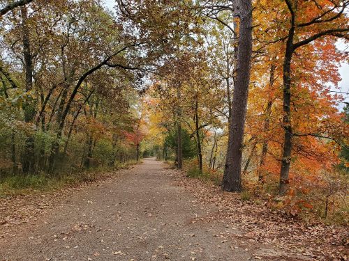 A gravel path winds through a forest with vibrant autumn foliage in shades of orange and yellow.
