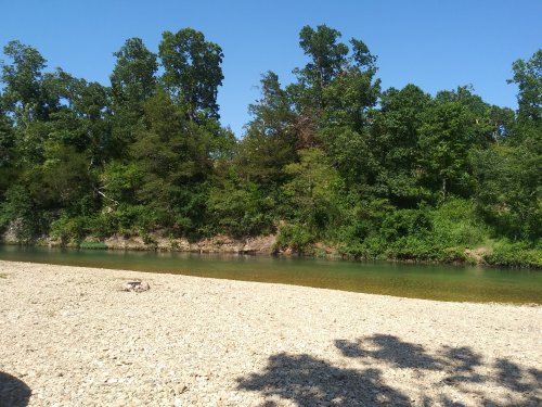 A serene riverbank scene with clear water, pebbles, and lush green trees under a bright blue sky.