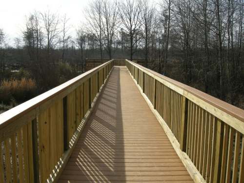 A wooden boardwalk stretches through a natural area, surrounded by trees and tall grass under a clear sky.
