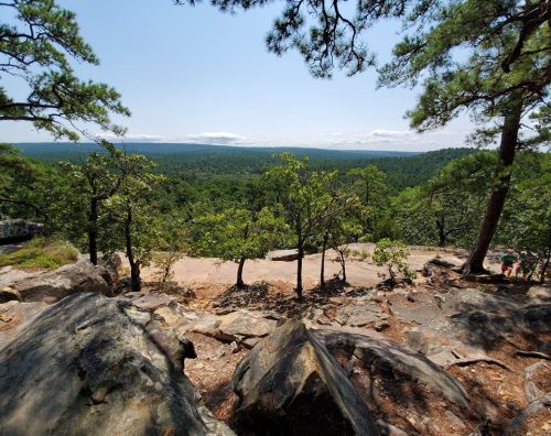 A scenic view from a rocky overlook, showcasing lush green trees and distant hills under a clear blue sky.