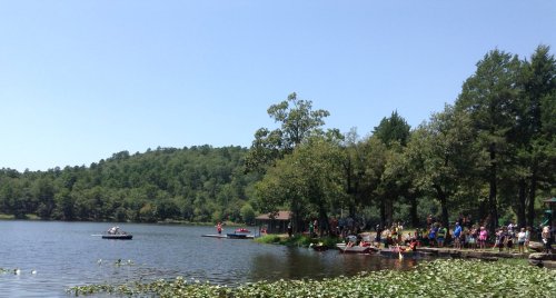 A sunny lakeside scene with people gathered on the shore and in boats, surrounded by trees and lily pads.