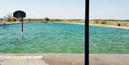 A large outdoor swimming pool with a basketball hoop, surrounded by green grass and a clear blue sky.