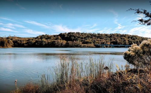 A serene lake surrounded by lush greenery and a bridge in the distance under a clear blue sky.