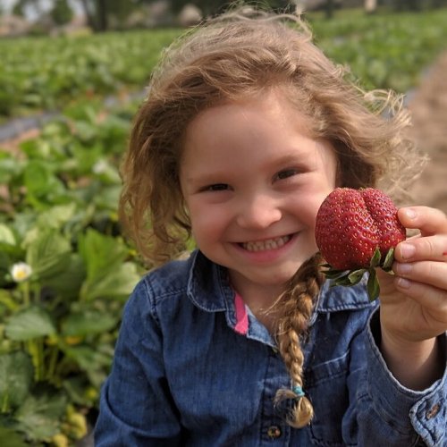 A smiling girl with curly hair holds a large strawberry in a field of green plants.