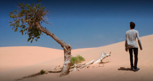 A person walks through a desert landscape with a solitary tree and sand dunes under a clear blue sky.