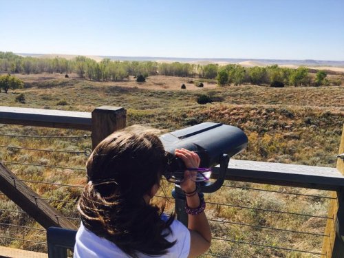 A child using a binocular viewer to observe a scenic landscape with trees and rolling hills in the background.