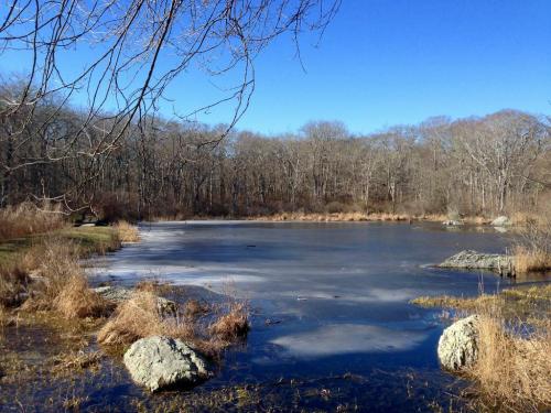 A serene pond surrounded by bare trees and grasses, with patches of ice on the water under a clear blue sky.