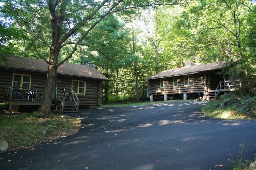 Two log cabins surrounded by trees, with a paved road leading between them in a serene forest setting.