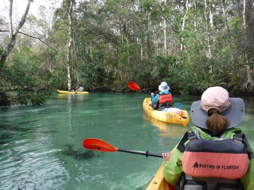 Three kayakers paddle through a serene, green-tinted waterway surrounded by lush trees.