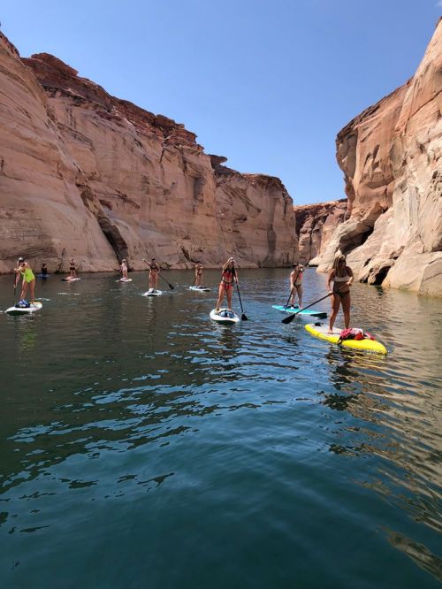 A group of people paddleboarding in a narrow canyon with steep rock walls and clear blue water under a sunny sky.