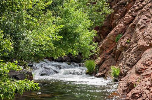 A serene river flows between rocky banks, surrounded by lush green trees and vibrant foliage.