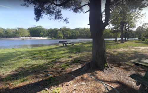 A serene lakeside view with a grassy area, benches, and trees under a clear blue sky.