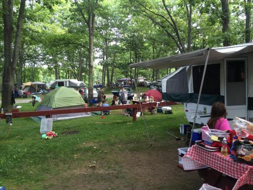 A campsite with several tents and a camper, surrounded by trees, with people enjoying outdoor activities and food.