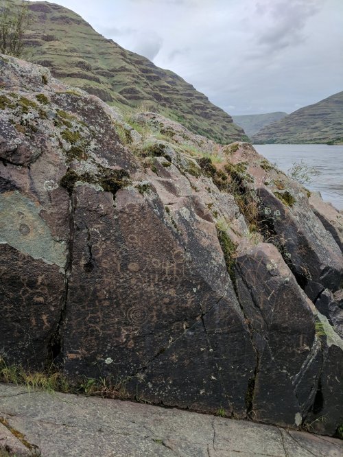 Petroglyphs etched into dark rock, surrounded by green moss and grass, with a river and hills in the background.