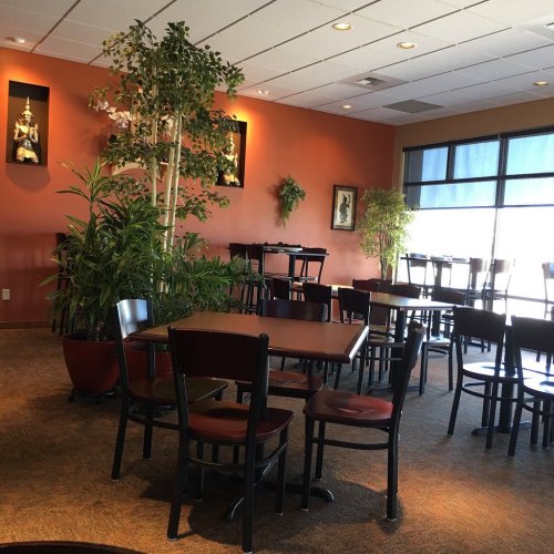 A cozy restaurant interior with wooden tables, chairs, and potted plants against warm orange walls.
