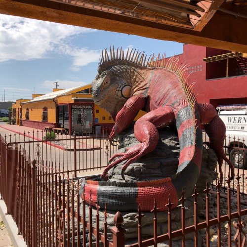 A large, colorful iguana sculpture perched on a rock, surrounded by a metal fence, with buildings in the background.