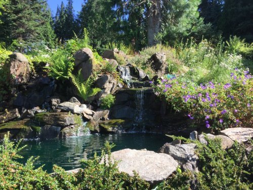 A serene garden scene featuring a small waterfall cascading into a pond, surrounded by lush greenery and colorful flowers.