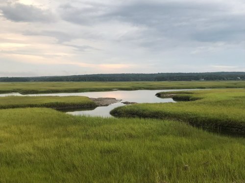 A serene landscape of green marshland with a calm waterway under a cloudy sky.