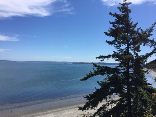 A serene beach scene with calm waters, a clear blue sky, and a tall tree in the foreground.