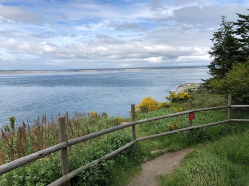 A scenic view of a calm ocean with a shoreline, framed by greenery and a wooden fence under a partly cloudy sky.