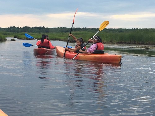 Three people kayaking on a calm waterway, surrounded by greenery under a cloudy sky.