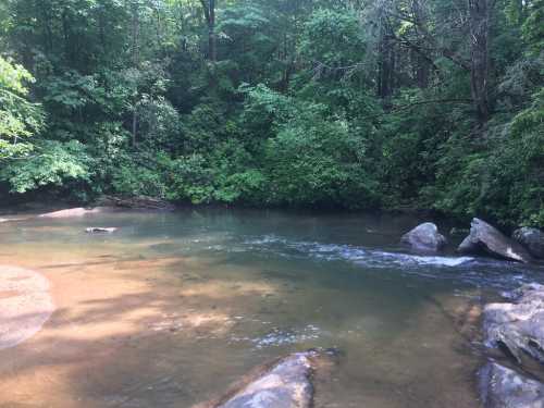 A serene river flows through a lush green forest, with rocks visible in the water and trees lining the banks.