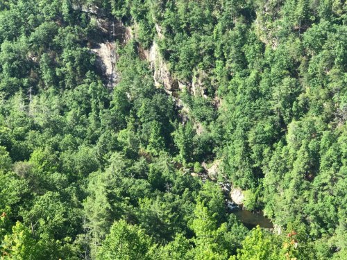 A lush green forest with steep cliffs and a winding river visible below, surrounded by dense foliage.
