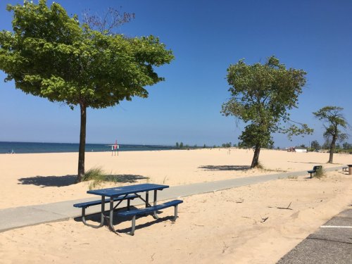 A sunny beach scene with a sandy shore, blue picnic table, and trees under a clear blue sky.