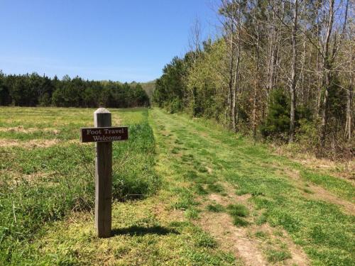 A grassy trail lined with trees, featuring a sign that reads "Foot Travel Welcome." Clear blue sky above.