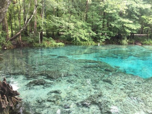 Clear turquoise water in a serene forested area, with rocks visible beneath the surface and lush greenery surrounding.