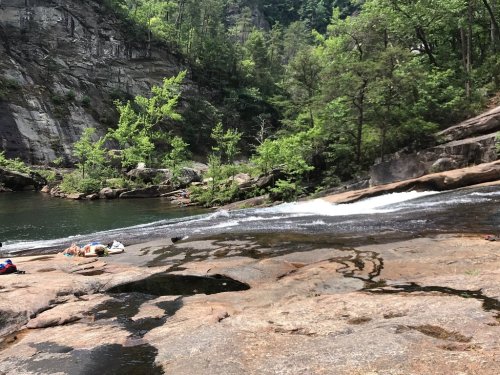 A serene river scene with smooth rocks, gentle rapids, and lush green trees surrounding the water.