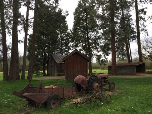 Rusty tractor and trailer in a grassy area, surrounded by tall trees and rustic wooden buildings.