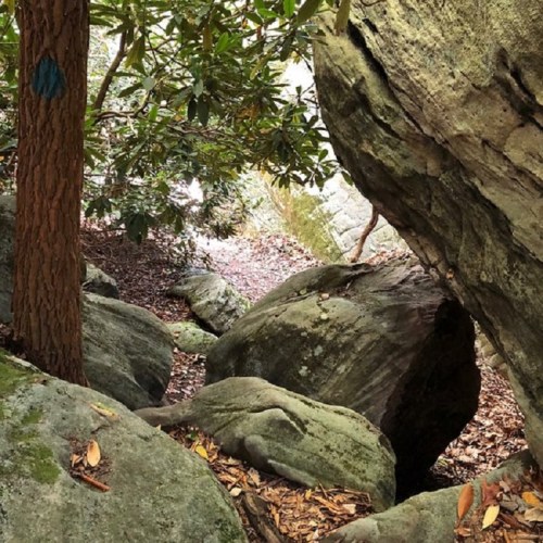 A narrow path between large rocks and trees, with green foliage and scattered leaves on the ground.