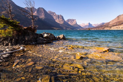 A serene lake surrounded by mountains, with clear water revealing rocky bottom and a tree on the shore.