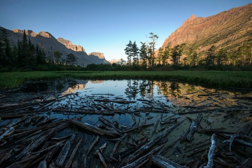 A serene mountain landscape reflecting in a calm pond, surrounded by trees and scattered logs.