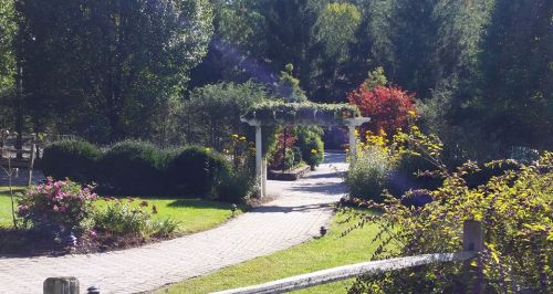 A serene garden path leads to a white arbor, surrounded by colorful flowers and lush greenery.
