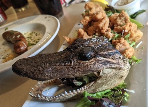 A plate featuring a crocodile head surrounded by fried seafood and greens, with drinks in the background.