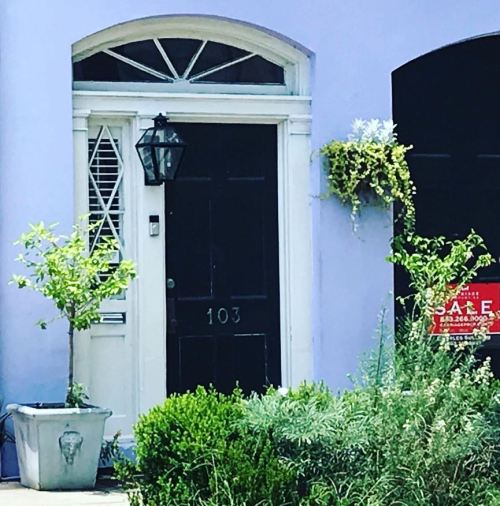 A purple house with a black door, house number 103, and a "For Sale" sign. Green plants adorn the entrance.