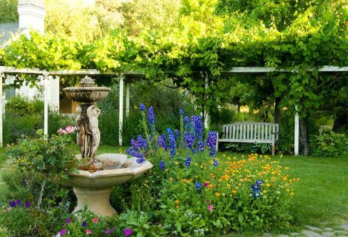 A serene garden with a fountain, vibrant flowers, and a bench under a trellis of greenery.